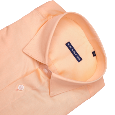 Tangerine Peach Giza